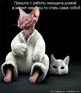 320 X 364  27.5 Kb Улыбнемся?