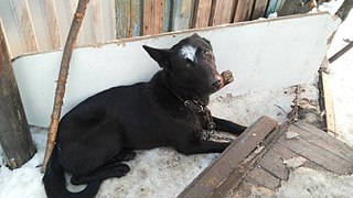 807 X 454 75.2 Kb  (  )   