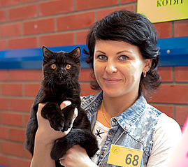 337 X 300 45.3 Kb Продается британский котик