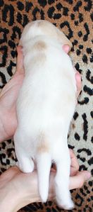 759 X 1717 135.3 Kb 1150 X 870 107.5 Kb 1128 X 1176 131.4 Kb -, !  'Prime Pride'