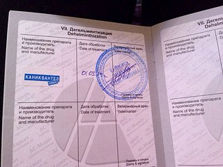 960 X 720 154.1 Kb подскажите породу