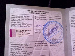 960 X 720 162.7 Kb 960 X 720 154.1 Kb подскажите породу
