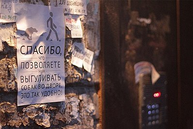 807 X 538  98.2 Kb 403 X 537  31.8 Kb 373 x 258 Улыбнемся?