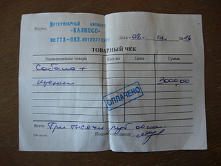 1920 X 1440 167.7 Kb Собаку со щенками выбросили около школы N66. Нужна помощь!