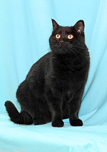 1051 X 1500 127.4 Kb      !