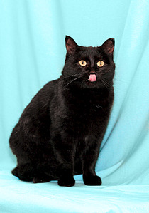 1051 X 1500 118.7 Kb 1051 X 1500 127.4 Kb      !