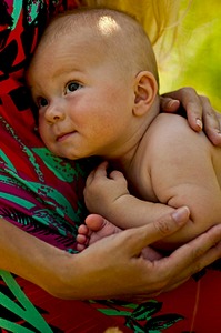 1920 X 2890 849.2 Kb 1920 X 2890 385.1 Kb 1920 X 2890 674.1 Kb Foto Shved. Ilya Shved. 2014
