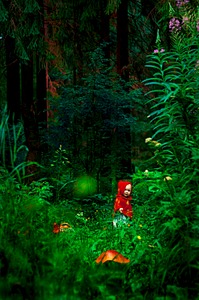 1920 X 2890 382.2 Kb 1920 X 2890 694.3 Kb 1920 X 2890 552.4 Kb 1920 X 1275 285.8 Kb 1920 X 2890 804.4 Kb Foto Shved. Ilya Shved. 2014