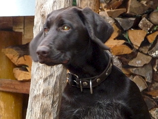 1920 X 1440 968.2 Kb 1920 X 1440 711.2 Kb   -  - 