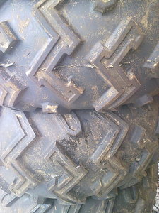 1536 X 2048 760.8 Kb 1536 X 2048 599.0 Kb     