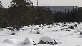 1920 X 1080 379.8 Kb Март 2014 Инзерские Зубчатки- лыжи