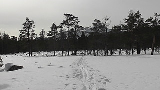 1920 X 1080 389.3 Kb 1920 X 1080 379.8 Kb Март 2014 Инзерские Зубчатки- лыжи