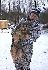 208 X 300 22.9 Kb 398 X 297 16.6 Kb Пенсионный фонд им.Миши Овчаркина