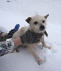 256 X 299 16.2 Kb 399 X 296 28.6 Kb 208 X 300 22.9 Kb 398 X 297 16.6 Kb Пенсионный фонд им.Миши Овчаркина