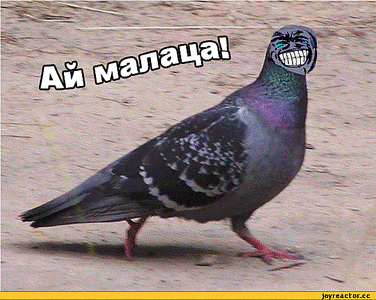 600 X 478 105.0 Kb Опель-клуб