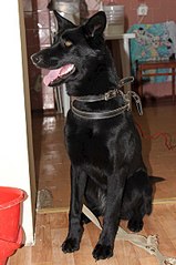 402 X 604 47.9 Kb  !  !