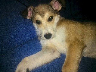 600 X 449 54.8 Kb 600 X 449 40.8 Kb 600 X 449 37.4 Kb     