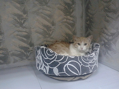 800 X 600 121.5 Kb    ,  