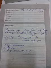 1920 X 2560 405.0 Kb 1920 X 2560 398.3 Kb 1920 X 1440 393.1 Kb Жесть... Собаку сбил поезд... Собаке помощь и поддержка просто необходимы!