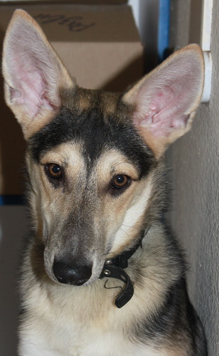 308 x 500 279 x 500 333 x 500     .