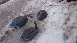 1920 X 1080 515.3 Kb 1920 X 1080 554.2 Kb   