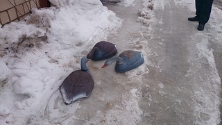 1920 X 1080 489.5 Kb 1920 X 1080 515.3 Kb 1920 X 1080 554.2 Kb   