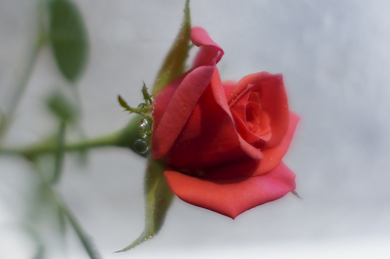 1920 X 1275 184.6 Kb 1920 X 1275 193.8 Kb Макровылазки и околомакрушные разговоры