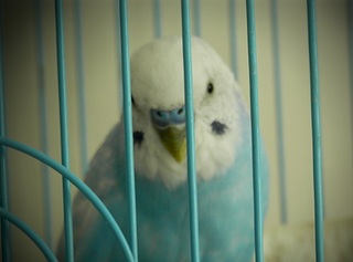 1920 X 1423 388.7 Kb  