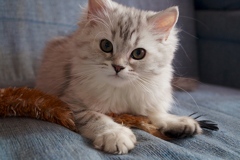 1920 X 1275 501.6 Kb  !