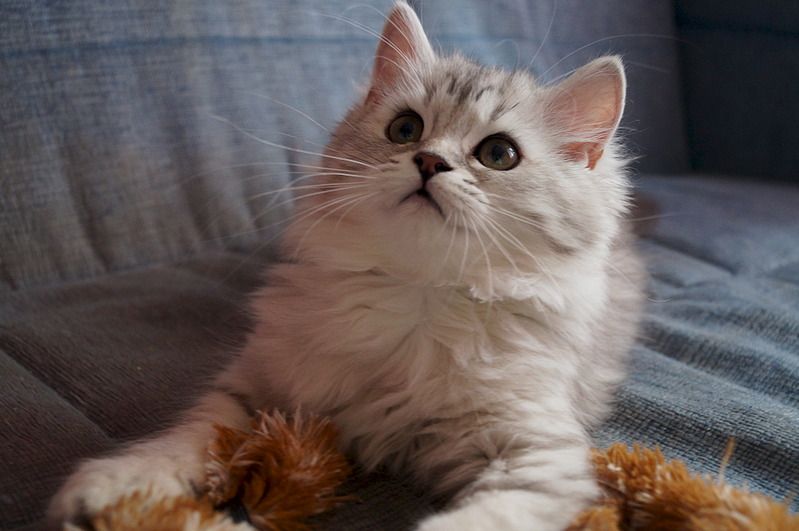 1920 X 1275 427.8 Kb  !