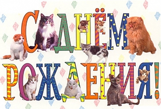 700 X 474 235.2 Kb Питомник'Gem Sweet'.Любимые британские ПЛЮШКИ.Британские котята: белые,черные,голубые