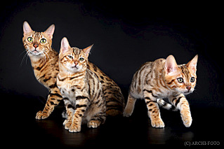 640 X 427 99.5 Kb 640 X 427 79.3 Kb   