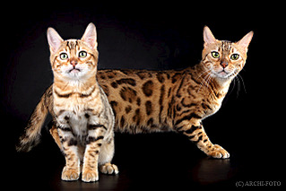 640 X 427 98.6 Kb 640 X 427 99.5 Kb 640 X 427 79.3 Kb   