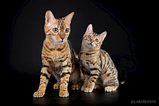 640 X 427 82.9 Kb 640 X 427 98.6 Kb 640 X 427 99.5 Kb 640 X 427 79.3 Kb   