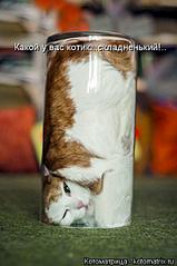 402 X 604  35.5 Kb Улыбнемся?