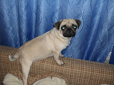 1920 X 1440 835.4 Kb  ()