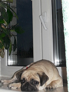 1920 X 2560 982.1 Kb 1920 X 1440 835.4 Kb  ()