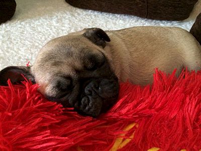 800 X 600 70.6 Kb 800 X 600 82.6 Kb 1920 X 2560 982.1 Kb 1920 X 1440 835.4 Kb  ()