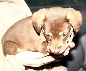 929 X 768 324.9 Kb 768 X 861 349.2 Kb 2  