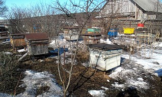 1920 X 1149 1001.0 Kb 1920 X 1149 792.2 Kb  