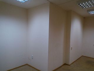 800 X 600  37.4 Kb 800 X 600  45.0 Kb 800 X 533  75.2 Kb 800 X 533 101.8 Kb      , 40 ²,  66