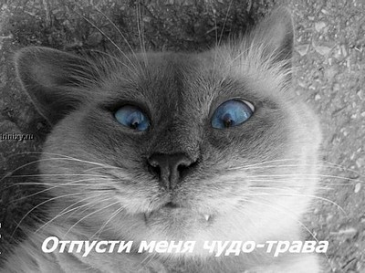 600 X 449  68.9 Kb WOOMEN 