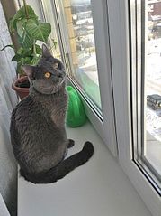 451 X 604 88.6 Kb     -     .