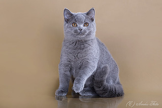 622 X 415 69.2 Kb 622 X 415 74.0 Kb 634 X 520 132.1 Kb 622 X 415 78.6 Kb   - ( )