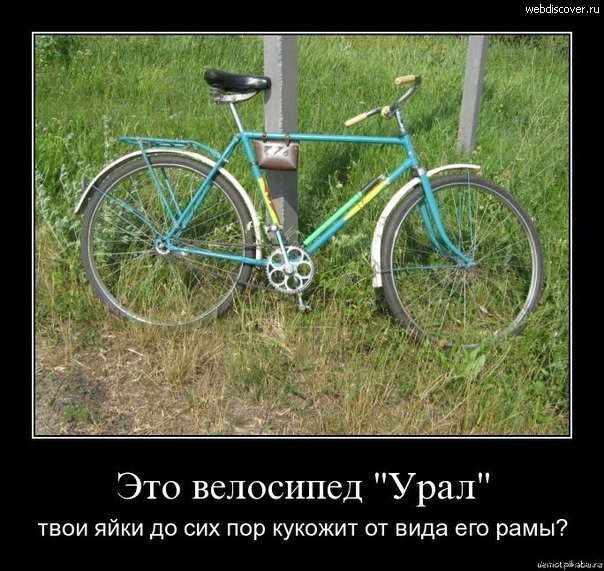 604 x 571 ижалкобайкеры) место для апщения!