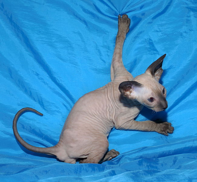 1920 X 1769 395.4 Kb   