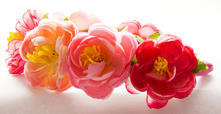 1920 X 989 368.1 Kb     !