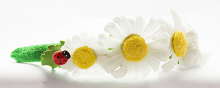 1920 X 769 193.0 Kb 1920 X 694 190.6 Kb     !