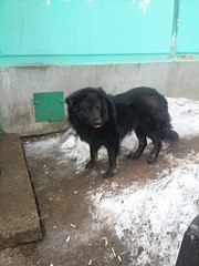 768 X 1024 135.2 Kb   ''   