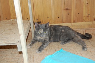 1920 X 1276 465.1 Kb      !